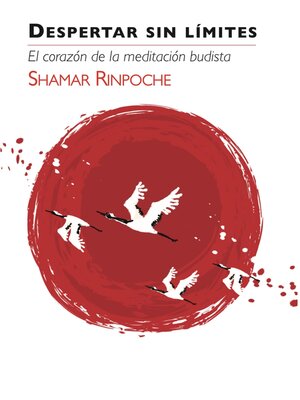 cover image of Despertar Sin Limites